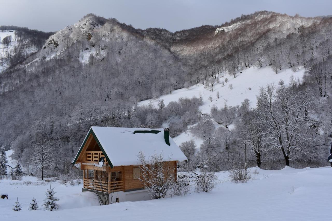 Mountain Mont Peace Lodge *